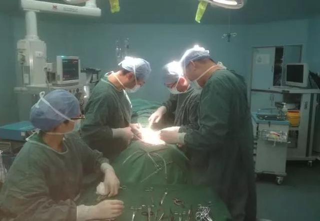 我院肝膽血管外科成功獨立實施下肢動脈搭橋(轉流)術